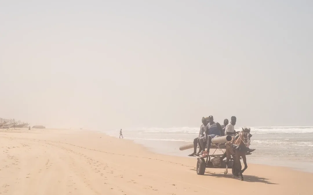 Carte du Sénégal par région : comprendre le découpage territorial pour préparer son voyage