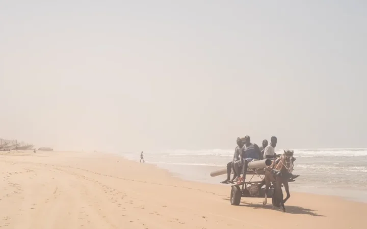 Carte du Sénégal par région : comprendre le découpage territorial pour préparer son voyage