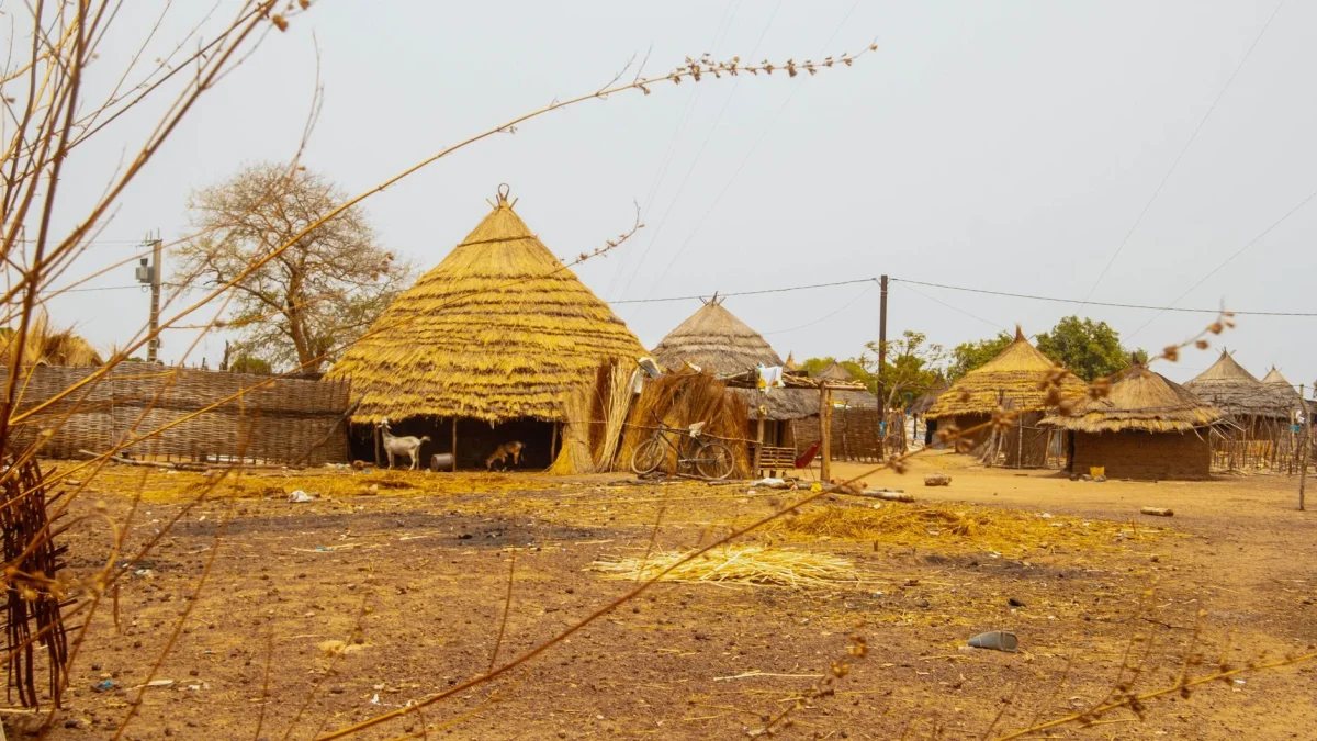Climat du Sénégal : saisons, zones géographiques et meilleure période pour un séjour