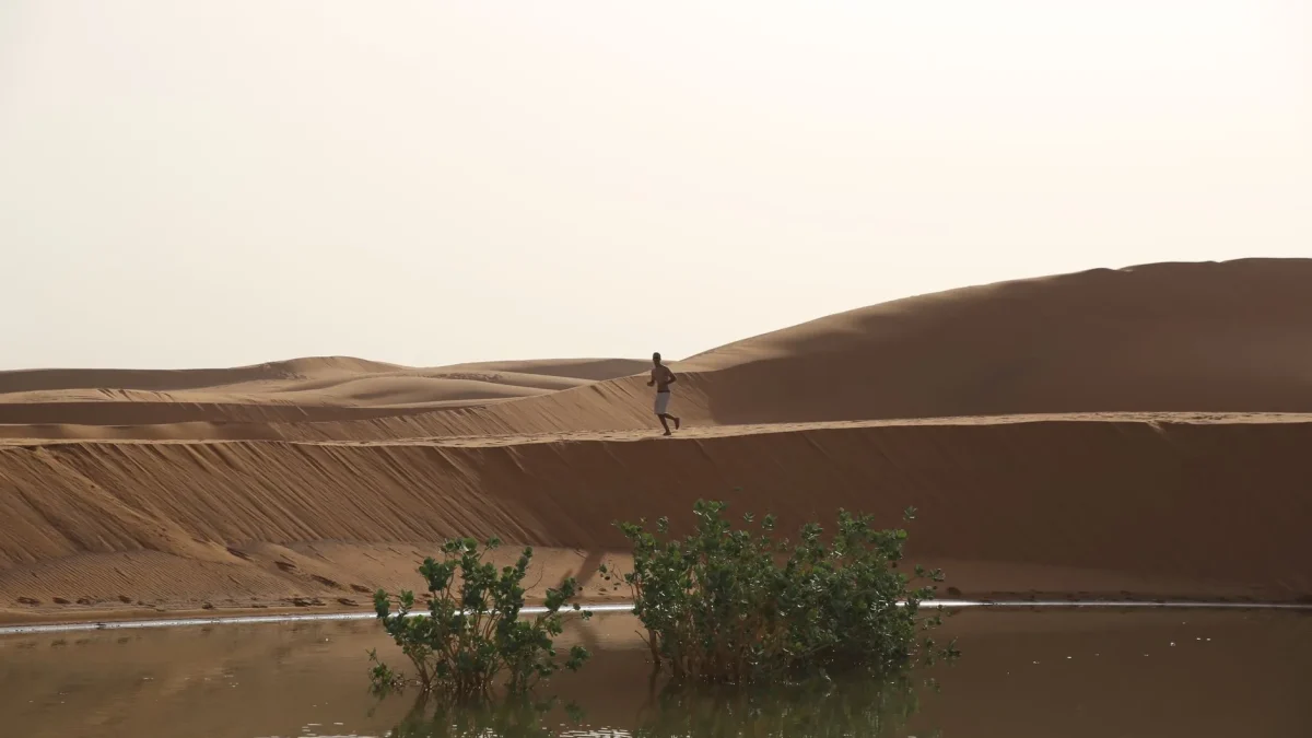Le fleuve Sénégal : géographie, populations riveraines et points d&rsquo;intérêt pour le voyageur