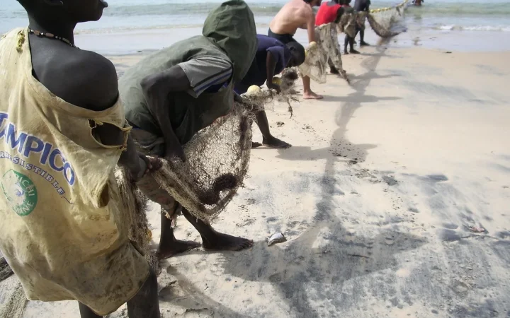 L’hymne national du Sénégal : Le Lion rouge, son histoire et ses symboles