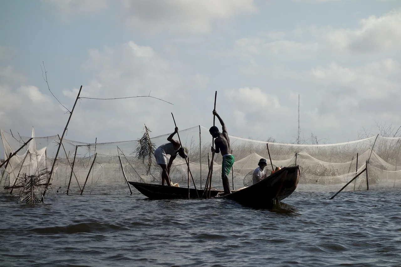 Port de pêche de Mbour au Sénégal avec bateaux traditionnels et pêcheurs
