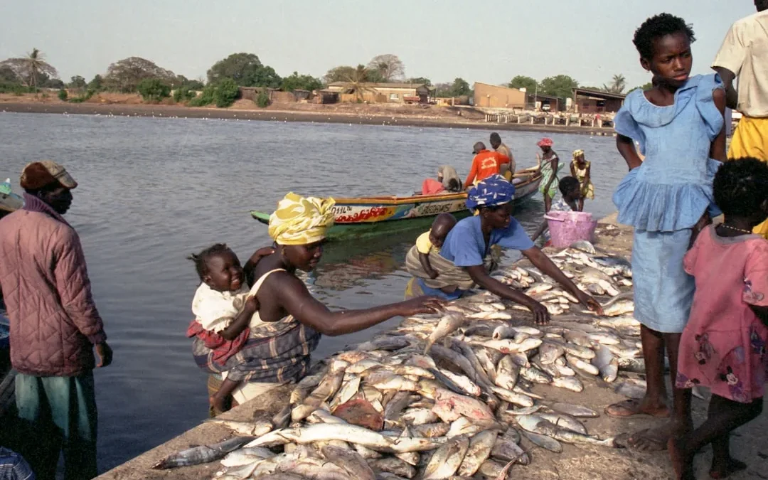 Monnaie du Sénégal : tout savoir sur le franc CFA avant de partir