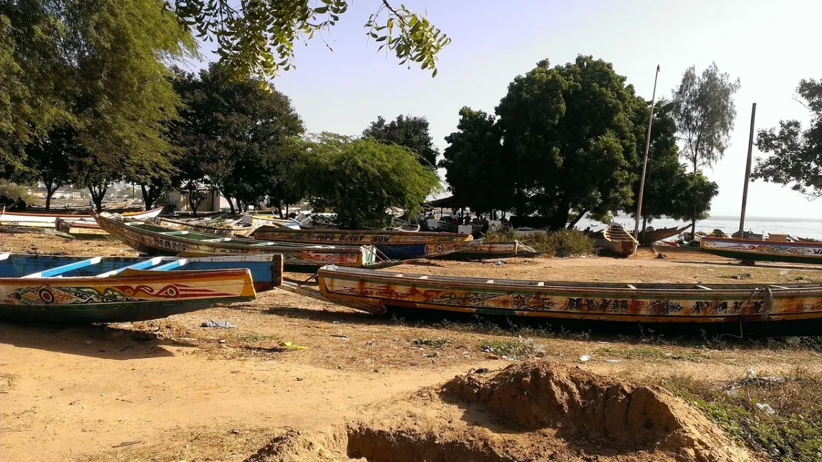 Que faire à Dakar : sites incontournables, excursions et conseils pratiques