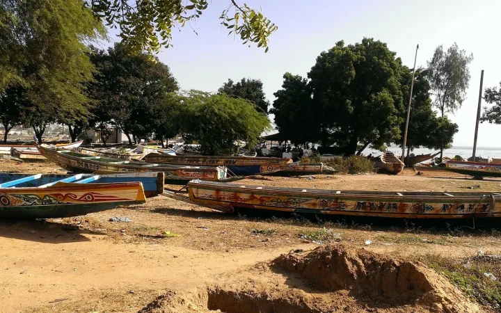 Que faire à Dakar : sites incontournables, excursions et conseils pratiques