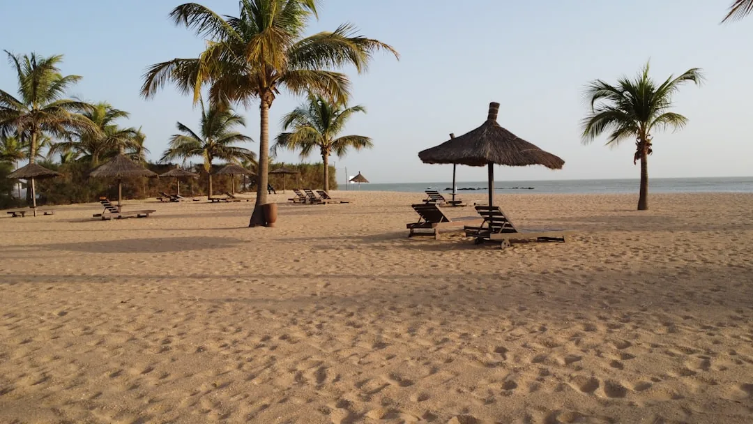 Plage de Saly au Senegal avec palmiers et parasols de chaume face a l'ocean