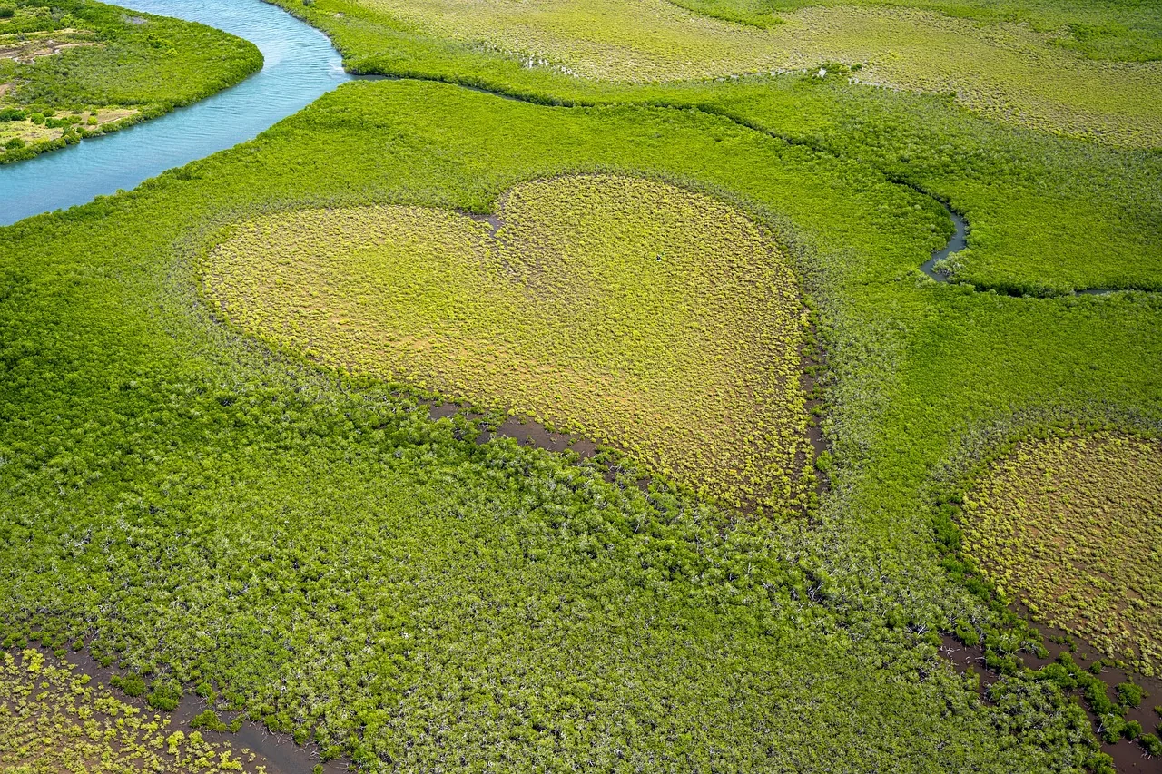 Lagune de Somone au Sénégal avec mangroves et vue aérienne de la côte