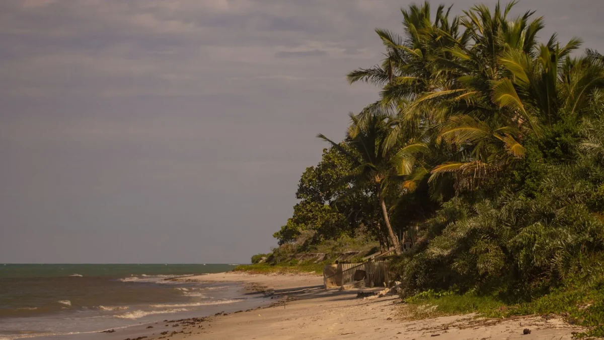 Cap Skirring (Sénégal) : géographie, accès et organisation du séjour en Casamance
