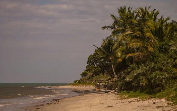 Cap Skirring (Sénégal) : géographie, accès et organisation du séjour en Casamance