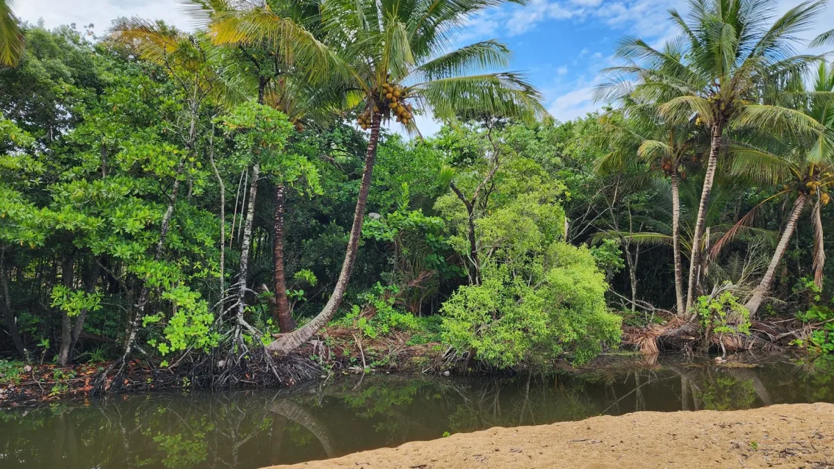 Casamance, Sénégal : géographie, climat et organisation d&rsquo;un séjour