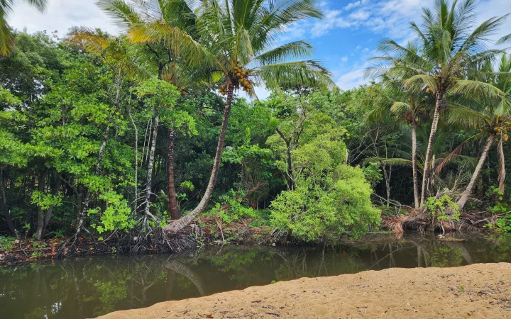 Casamance, Sénégal : géographie, climat et organisation d&rsquo;un séjour