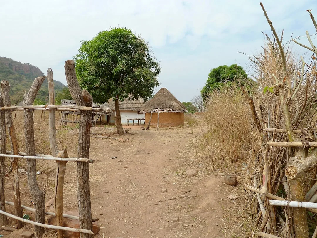 Chemin de terre bordé de clôtures en bois menant à des cases rondes au toit de chaume