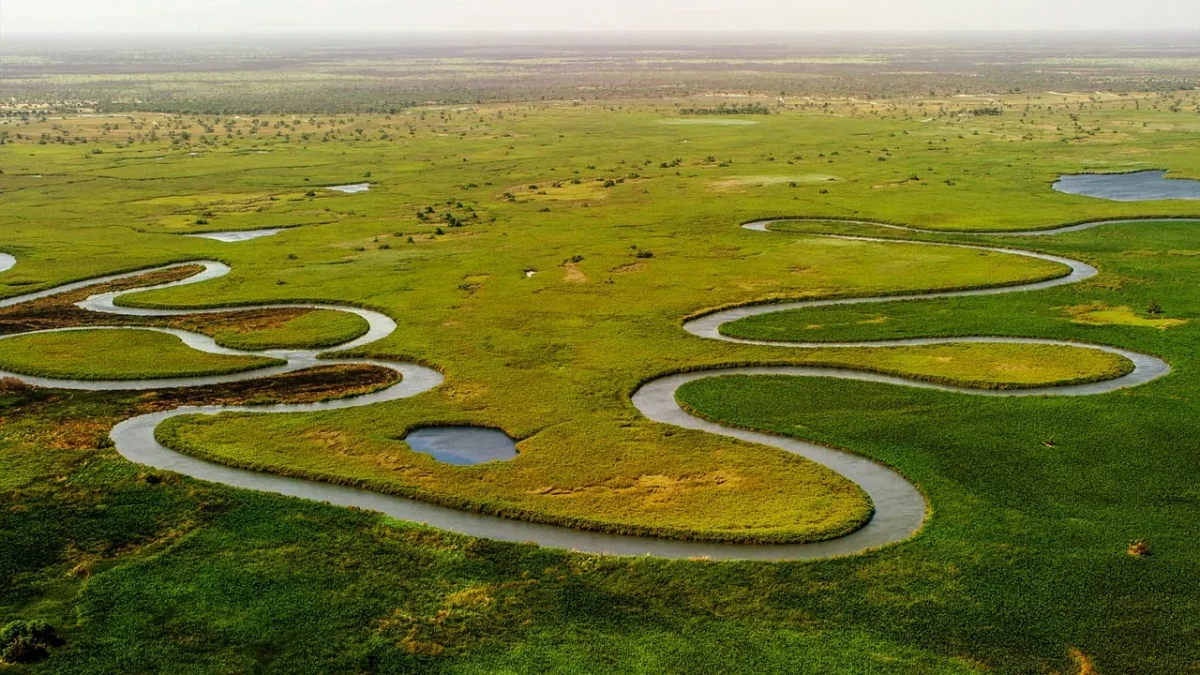 Vue aérienne d'un fleuve aux méandres sinueux traversant une plaine verte et marécageuse
