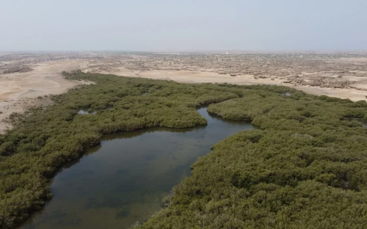 Hôtels et lodges au Sine-Saloum : comparatif par profil de séjour