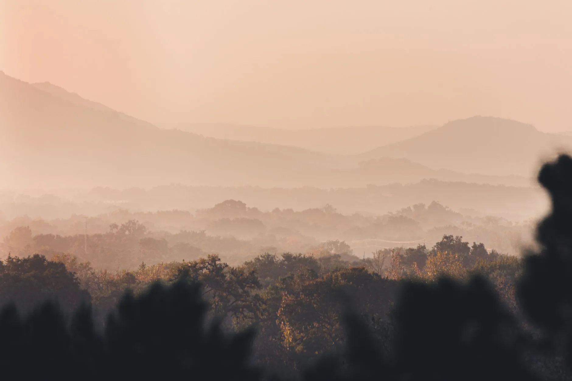 Paysage brumeux de collines boisées baignées d'une lumière dorée au lever du soleil