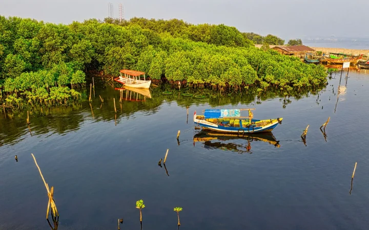 Sine-Saloum : géographie, accès et organisation d&rsquo;un séjour dans le delta sénégalais