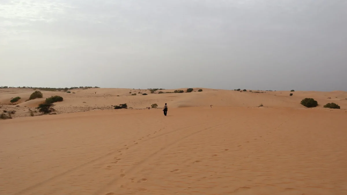Désert de Lompoul au Sénégal : guide pratique pour organiser sa visite