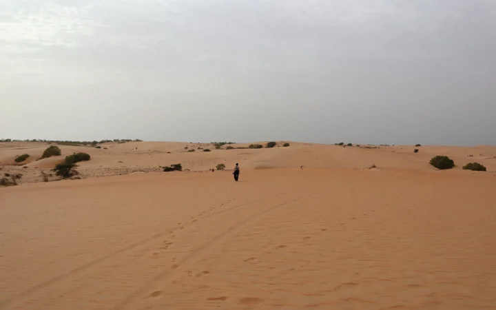 Désert de Lompoul au Sénégal : guide pratique pour organiser sa visite