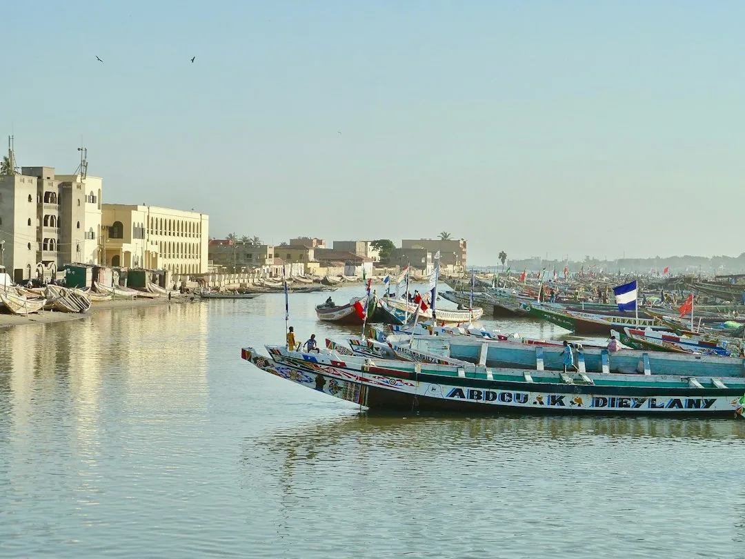 Pirogues colorées amarrées sur le fleuve à Saint-Louis du Sénégal, bâtiments en fond